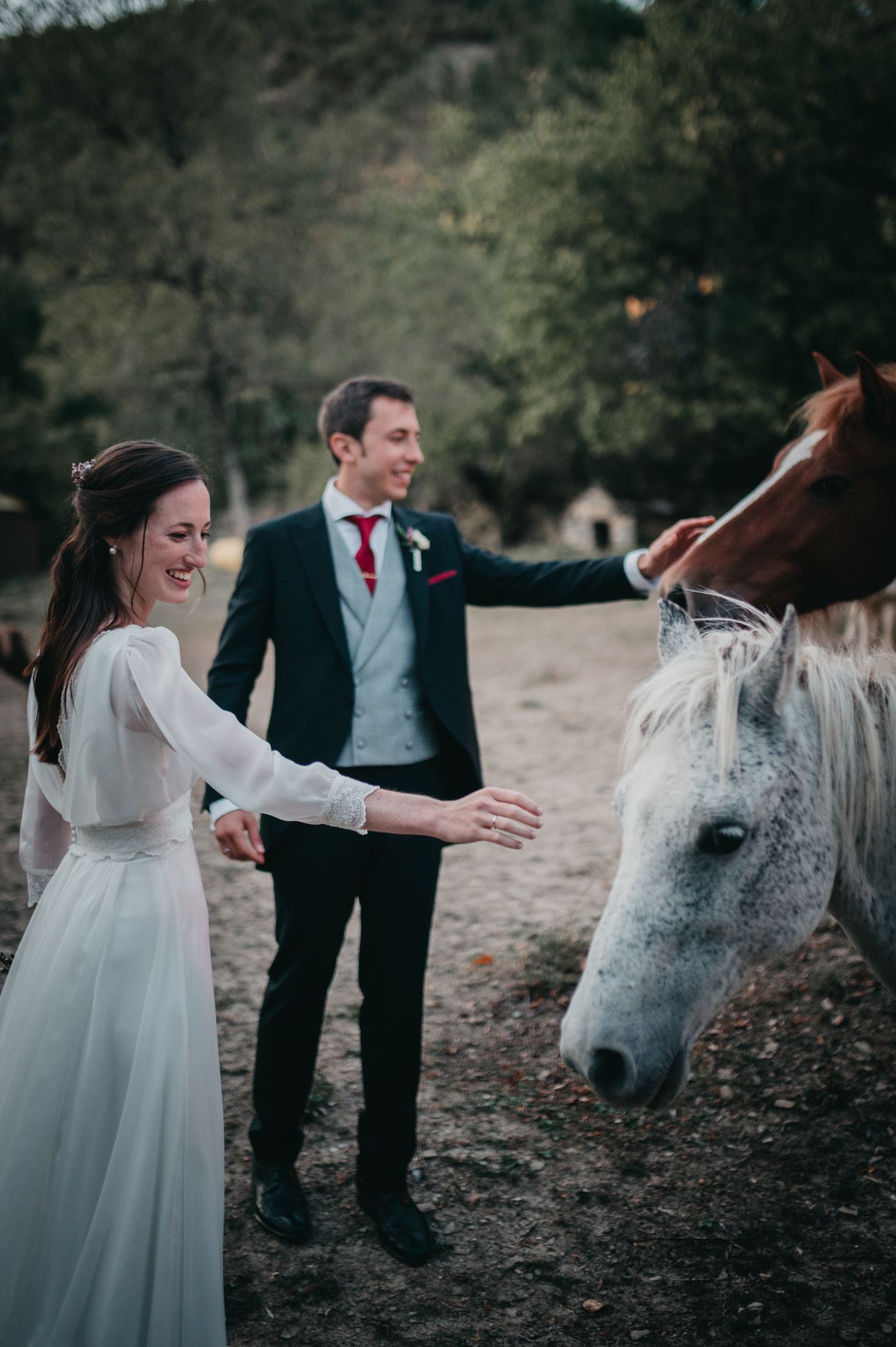 Los novios acariciando a un caballo blanco