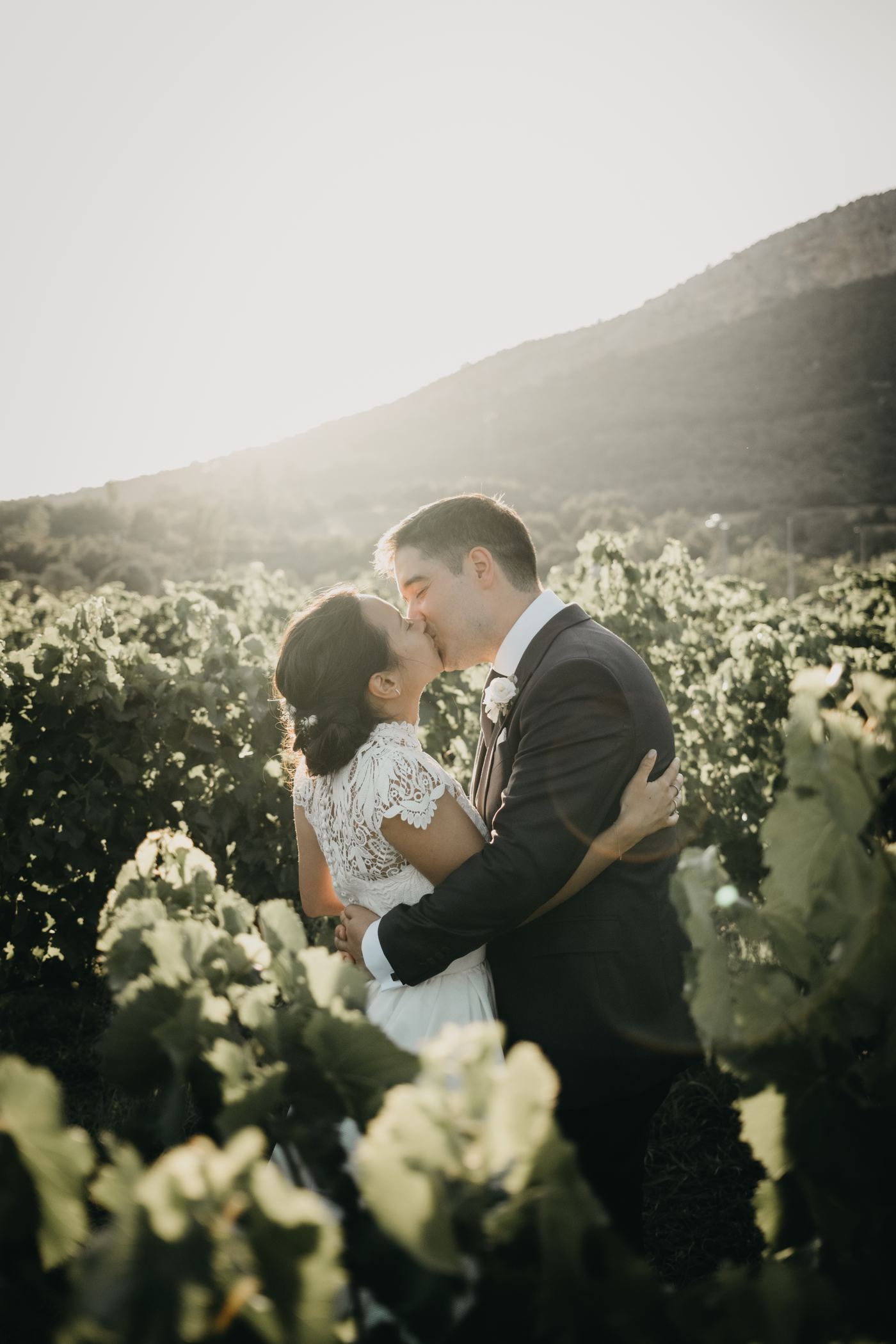 Novios besándose entre viñedos